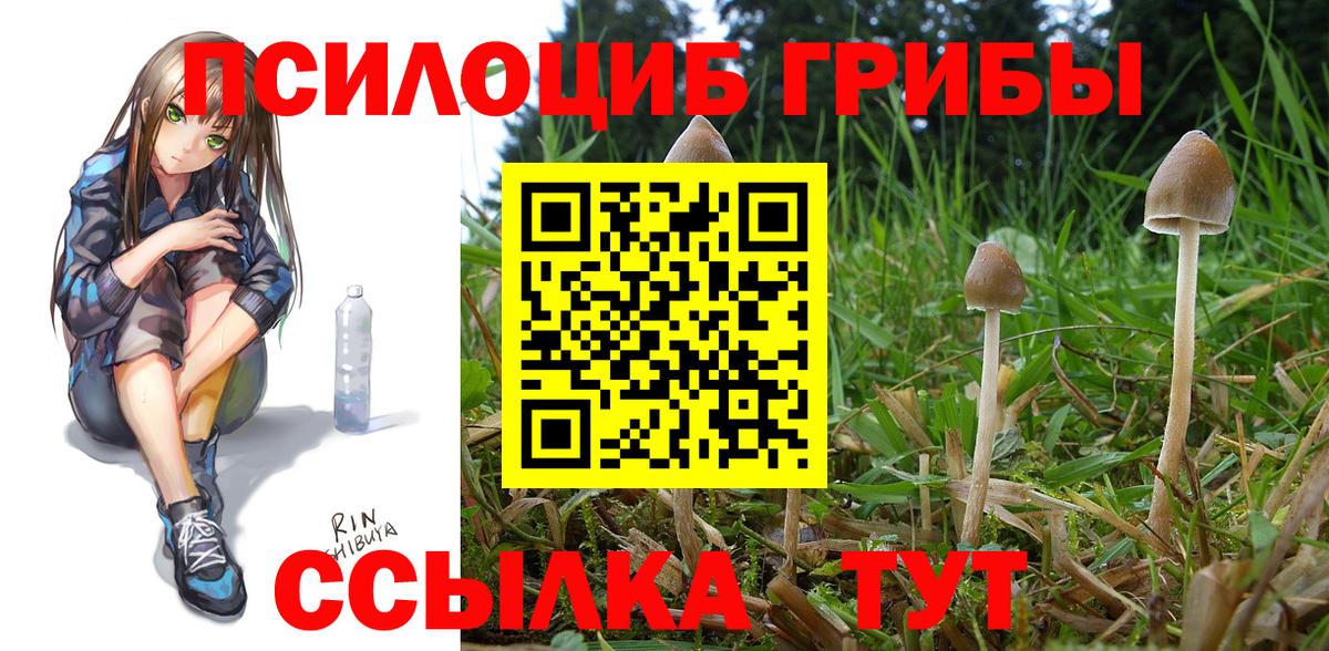 Галлюциногенные грибы GOLDEN TEACHER Шали