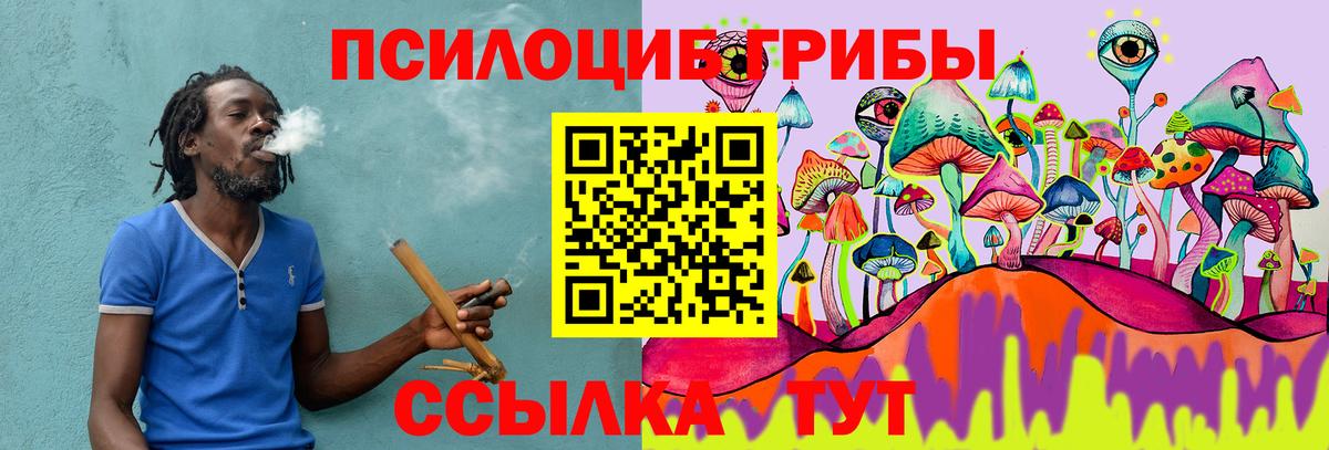 Галлюциногенные грибы Cubensis  Вход с VPN  Шали 